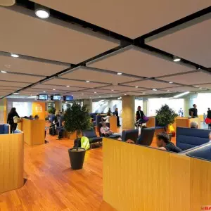 Acoustic-Panels-for-Office-Ceiling