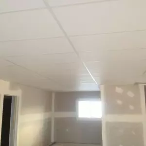 Grid-False-Ceiling-Types